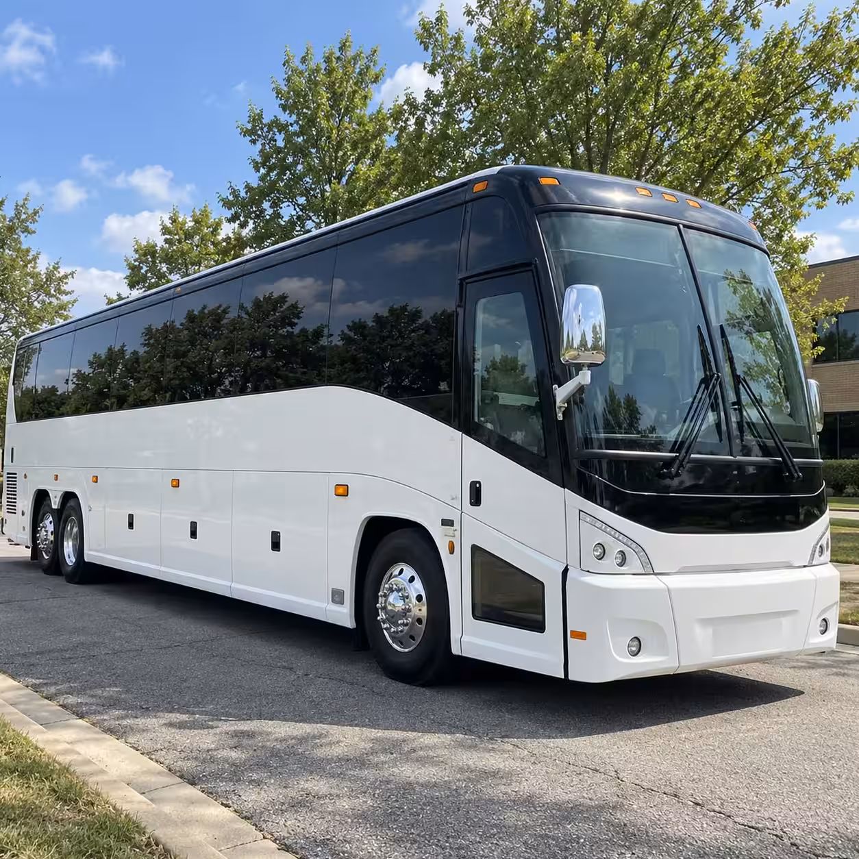 nature and science field trip transportation from carrollton