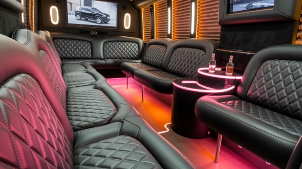 carrollton party bus rental rental
