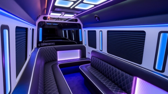 carrollton sprinter limo rental rental